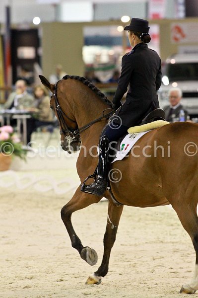 SOLDI_HARMONIA_MILANO_2011_SS3_5245 2.jpg